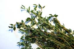 Thyme Sprigs