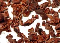 Cacao Nibs
