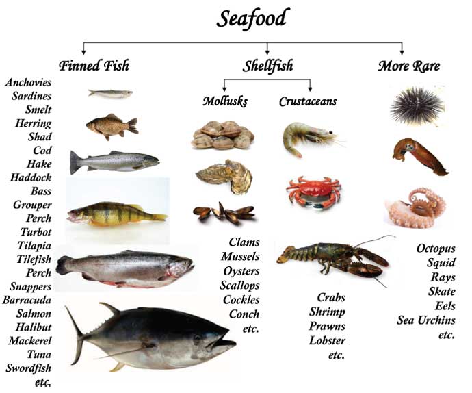 Seafood Chart