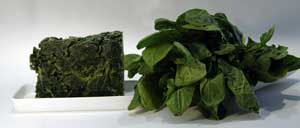 Frozen and Fresh Spinach