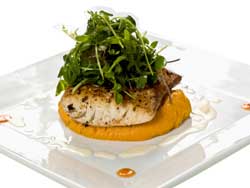 Plated Seared Fish
