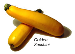 Golden Zucchini