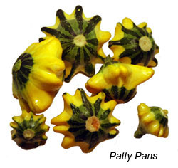 Patty Pan Squash