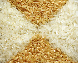 Brown and White Rices