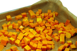 Diced Squash