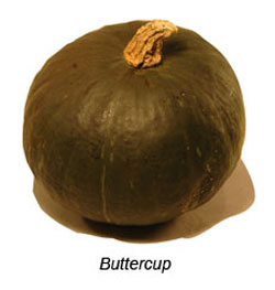 Butterc8up
