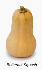 Butternut Squash