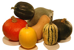 Winter Squash