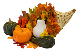 Cornucopia with Squash