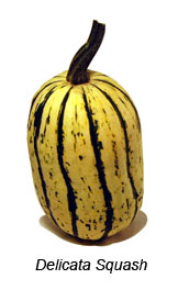 Delicata Squash