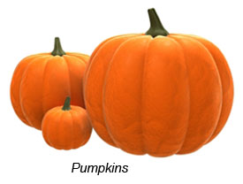 Pumpkin
