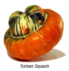 Turban Squash