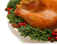 Turkey Portrait