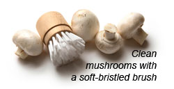 Mushroom Brush