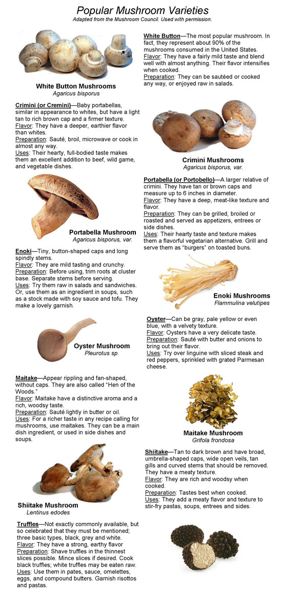 Mushroom Chart