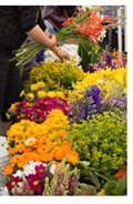 Flower Market