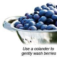 Blueberries in Colander