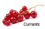 Currants