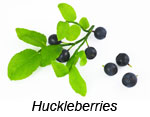 Huckleberries