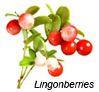 Lingonberries