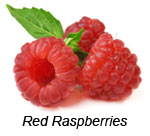 Red Raspberries