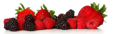 Row of Berries
