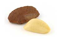 Brazil Nut