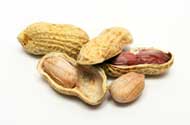 peanut seed anatomy