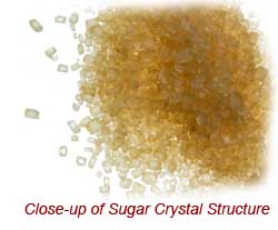 Close-up of Sugar