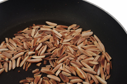 Toasted Almonds