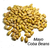 Mayo Coba Beans