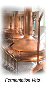 Fermentation Vats