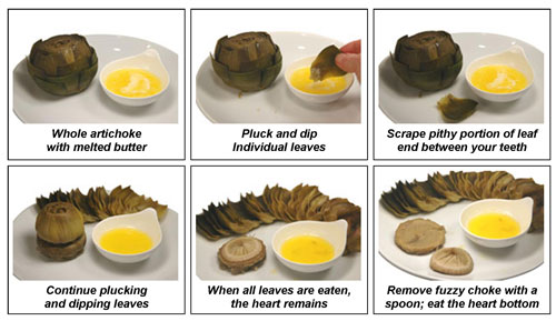 How to Eat an Artichoke