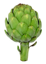 Artichoke