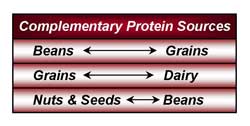 Complementary Proteins