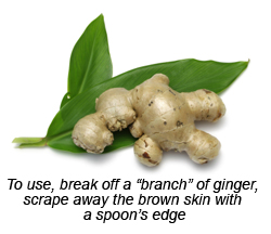 Ginger Root