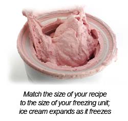 Frozen Strawberry in Freezer Insert