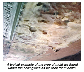 Tin Ceiling