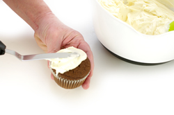 Frosting Cupcakes