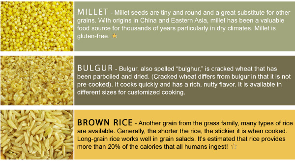 Whole Grain Profiles