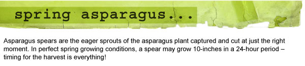 Spring Asparagus