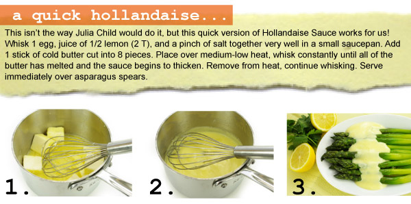 A Quick Hollandaise Sauce