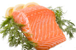 Salmon
