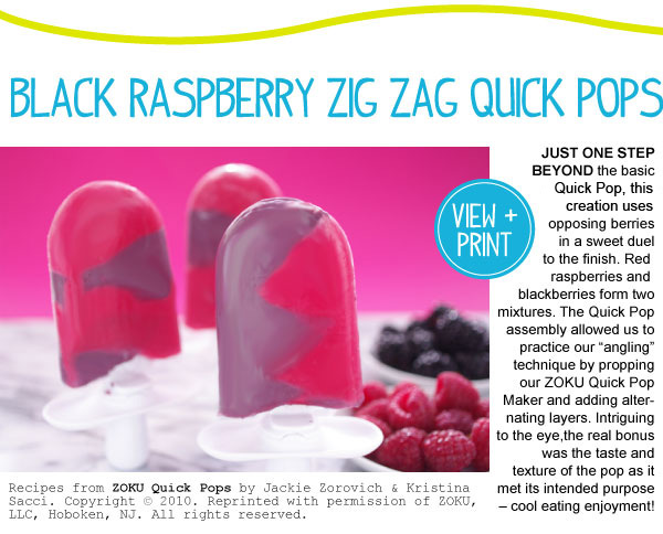 Black Raspberry Zig Zag Quick Pops
