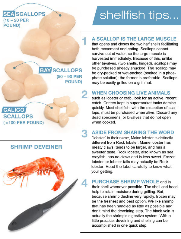 Shellfish TIps