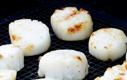 Griilling Scallops