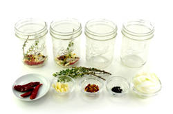 Spices in Jars