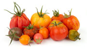 Heirloom Tomatoes