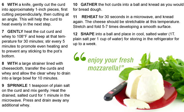 How To Make Fresh Mozzarella
