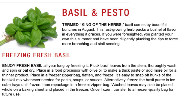 Basil and Pesto